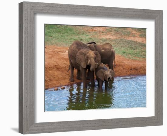 Elephants (Loxodonta Africana) at Water Hole, Tsavo East National Park, Kenya, East Africa, Africa-Sergio Pitamitz-Framed Photographic Print