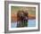 Elephants (Loxodonta Africana) at Water Hole, Tsavo East National Park, Kenya, East Africa, Africa-Sergio Pitamitz-Framed Photographic Print