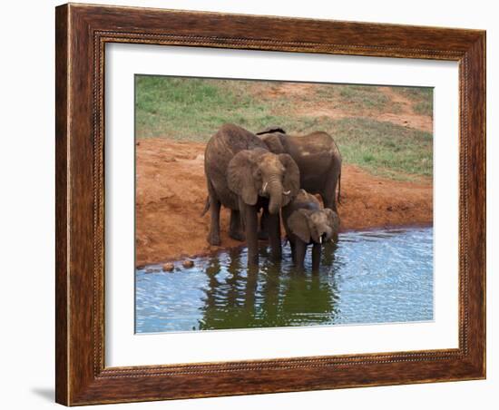 Elephants (Loxodonta Africana) at Water Hole, Tsavo East National Park, Kenya, East Africa, Africa-Sergio Pitamitz-Framed Photographic Print