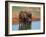 Elephants (Loxodonta Africana) at Water Hole, Tsavo East National Park, Kenya, East Africa, Africa-Sergio Pitamitz-Framed Photographic Print