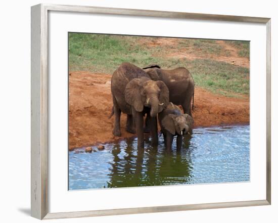 Elephants (Loxodonta Africana) at Water Hole, Tsavo East National Park, Kenya, East Africa, Africa-Sergio Pitamitz-Framed Photographic Print