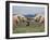 Elephants (Loxodonta Africana), Greeting, Addo National Park, Eastern Cape, South Africa, Africa-Ann & Steve Toon-Framed Photographic Print