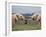 Elephants (Loxodonta Africana), Greeting, Addo National Park, Eastern Cape, South Africa, Africa-Ann & Steve Toon-Framed Photographic Print