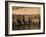 Elephants (Loxodonta Africana) in Chobe River, Botswana, Africa-Kim Walker-Framed Photographic Print