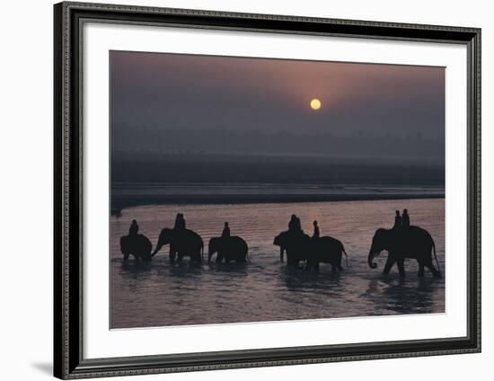 Elephants Lumber into River at Sonpur-George F^ Mobley-Framed Art Print