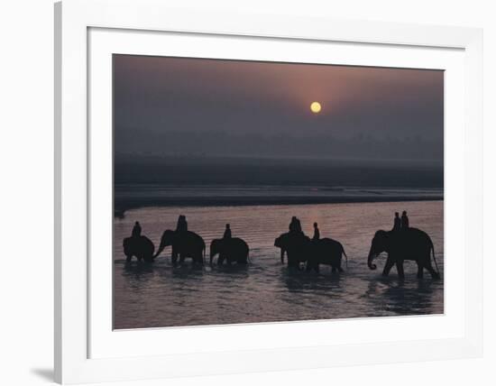 Elephants Lumber into River at Sonpur-George F^ Mobley-Framed Art Print