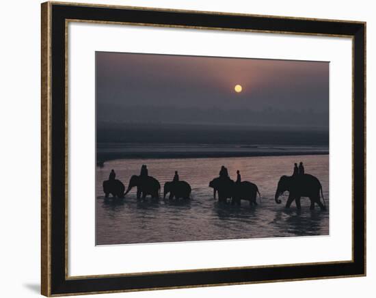 Elephants Lumber into River at Sonpur-George F^ Mobley-Framed Art Print