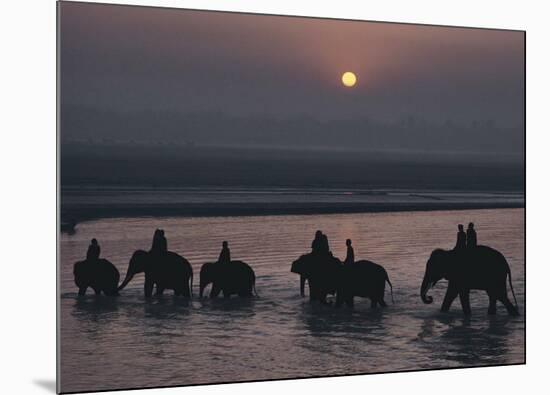 Elephants Lumber into River at Sonpur-George F^ Mobley-Mounted Art Print
