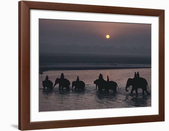 Elephants Lumber into River at Sonpur-George F^ Mobley-Framed Art Print