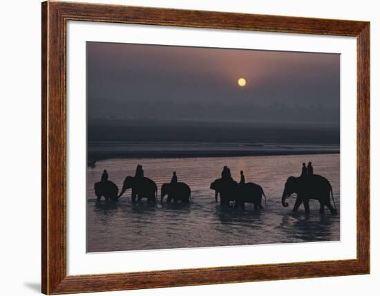 Elephants Lumber into River at Sonpur-George F^ Mobley-Framed Art Print