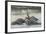 Elephants Lying in the Water, Ceylon-null-Framed Photographic Print