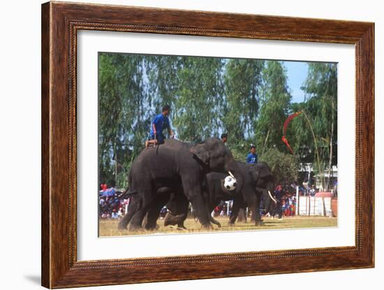 Elephants Playing Soccer, Elephant Round-Up, Surin, Thailand-null-Framed Photographic Print