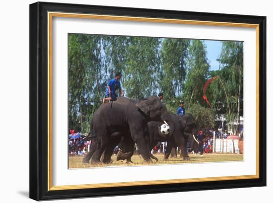 Elephants Playing Soccer, Elephant Round-Up, Surin, Thailand-null-Framed Photographic Print