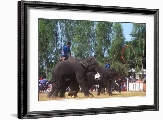 Elephants Playing Soccer, Elephant Round-Up, Surin, Thailand-null-Framed Photographic Print