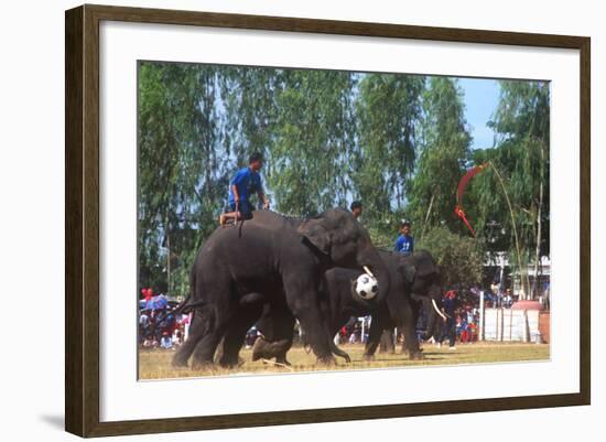 Elephants Playing Soccer, Elephant Round-Up, Surin, Thailand-null-Framed Photographic Print