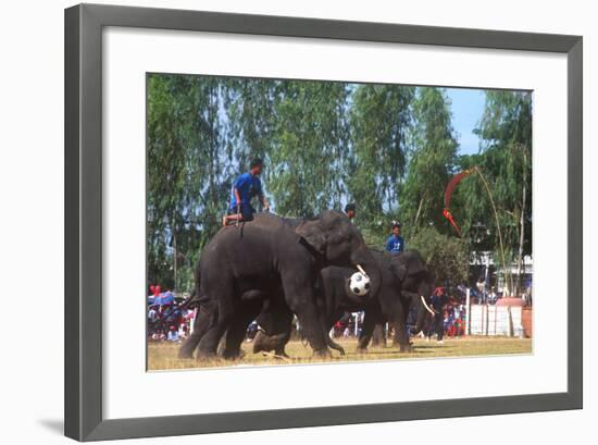 Elephants Playing Soccer, Elephant Round-Up, Surin, Thailand-null-Framed Photographic Print