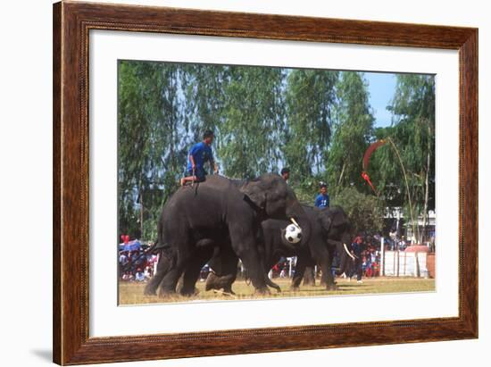 Elephants Playing Soccer, Elephant Round-Up, Surin, Thailand-null-Framed Photographic Print