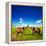 Elephants Playing With Their Trunks On African Savanna. Safari In Amboseli, Kenya, Africa-Michal Bednarek-Framed Premier Image Canvas