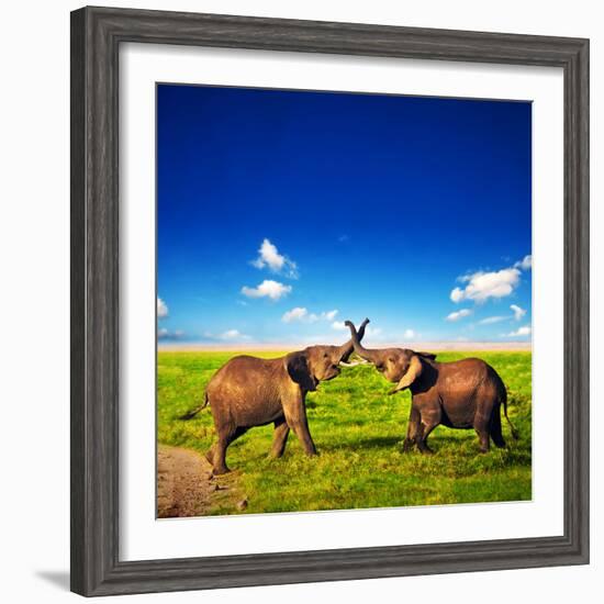 Elephants Playing With Their Trunks On African Savanna. Safari In Amboseli, Kenya, Africa-Michal Bednarek-Framed Photographic Print