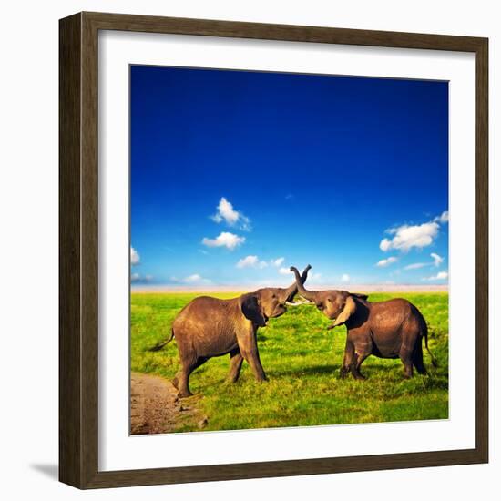 Elephants Playing With Their Trunks On African Savanna. Safari In Amboseli, Kenya, Africa-Michal Bednarek-Framed Photographic Print