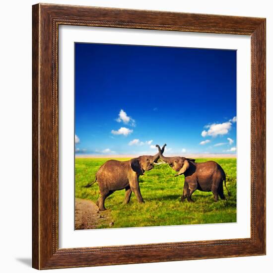 Elephants Playing With Their Trunks On African Savanna. Safari In Amboseli, Kenya, Africa-Michal Bednarek-Framed Photographic Print