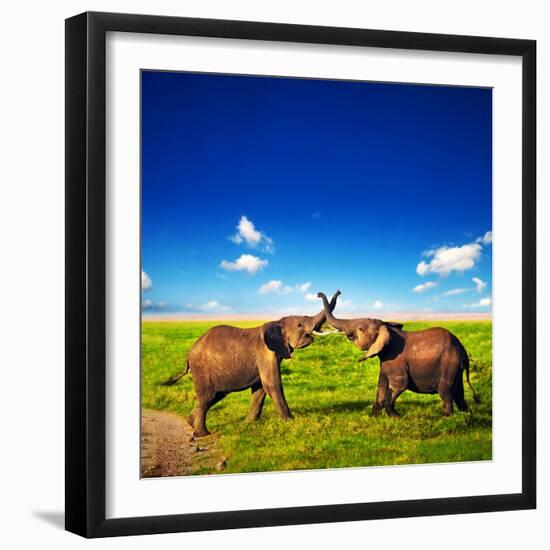 Elephants Playing With Their Trunks On African Savanna. Safari In Amboseli, Kenya, Africa-Michal Bednarek-Framed Photographic Print