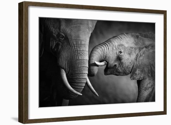 Elephants Showing Affection (Artistic Processing)-Johan Swanepoel-Framed Photographic Print