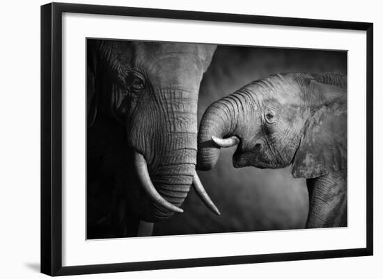 Elephants Showing Affection (Artistic Processing)-Johan Swanepoel-Framed Photographic Print