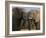 Elephants Socialising in Addo Elephant National Park, Eastern Cape, South Africa-Ann & Steve Toon-Framed Photographic Print