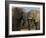 Elephants Socialising in Addo Elephant National Park, Eastern Cape, South Africa-Ann & Steve Toon-Framed Photographic Print