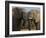 Elephants Socialising in Addo Elephant National Park, Eastern Cape, South Africa-Ann & Steve Toon-Framed Photographic Print