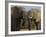 Elephants Socialising in Addo Elephant National Park, Eastern Cape, South Africa-Ann & Steve Toon-Framed Photographic Print