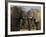 Elephants Socialising in Addo Elephant National Park, Eastern Cape, South Africa-Ann & Steve Toon-Framed Photographic Print