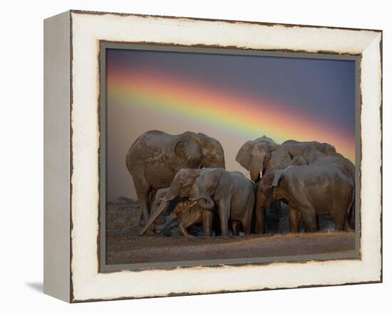 Elephants Taking Mud Bath-Jim Zuckerman-Framed Premier Image Canvas