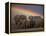 Elephants Taking Mud Bath-Jim Zuckerman-Framed Premier Image Canvas