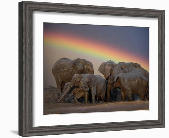 Elephants Taking Mud Bath-Jim Zuckerman-Framed Photographic Print