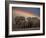 Elephants Taking Mud Bath-Jim Zuckerman-Framed Photographic Print