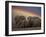 Elephants Taking Mud Bath-Jim Zuckerman-Framed Photographic Print