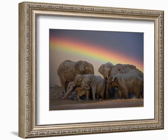 Elephants Taking Mud Bath-Jim Zuckerman-Framed Photographic Print