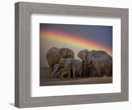 Elephants Taking Mud Bath-Jim Zuckerman-Framed Photographic Print