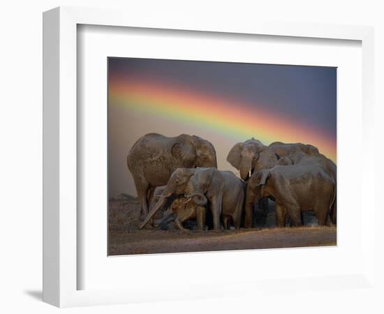 Elephants Taking Mud Bath-Jim Zuckerman-Framed Photographic Print