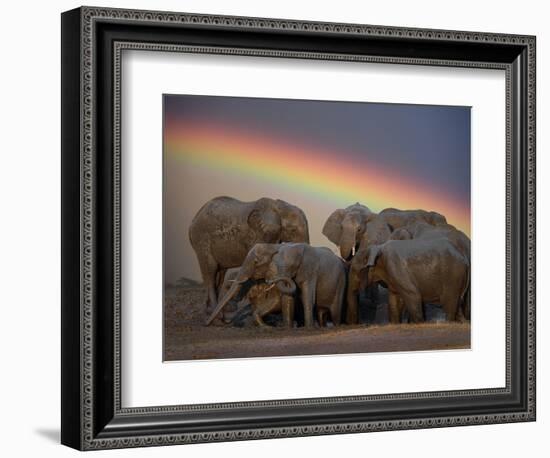 Elephants Taking Mud Bath-Jim Zuckerman-Framed Photographic Print