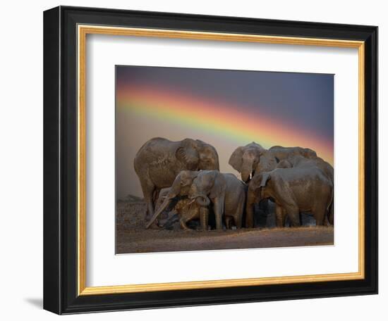 Elephants Taking Mud Bath-Jim Zuckerman-Framed Photographic Print