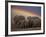 Elephants Taking Mud Bath-Jim Zuckerman-Framed Photographic Print