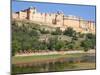 Elephants Taking Tourists to the Amber Fort Near Jaipur, Rajasthan, India, Asia-Gavin Hellier-Mounted Photographic Print