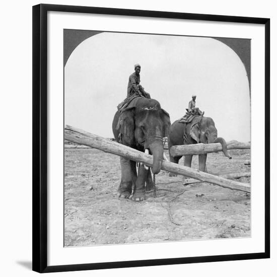 Photographic Print, , large