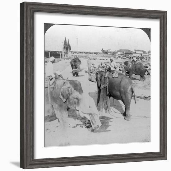 Elephants Working in a Timber Yard, India, C1900s-Underwood & Underwood-Framed Photographic Print