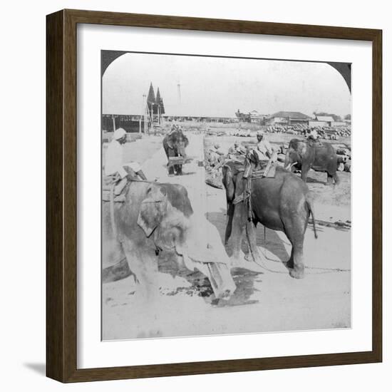 Elephants Working in a Timber Yard, India, C1900s-Underwood & Underwood-Framed Photographic Print