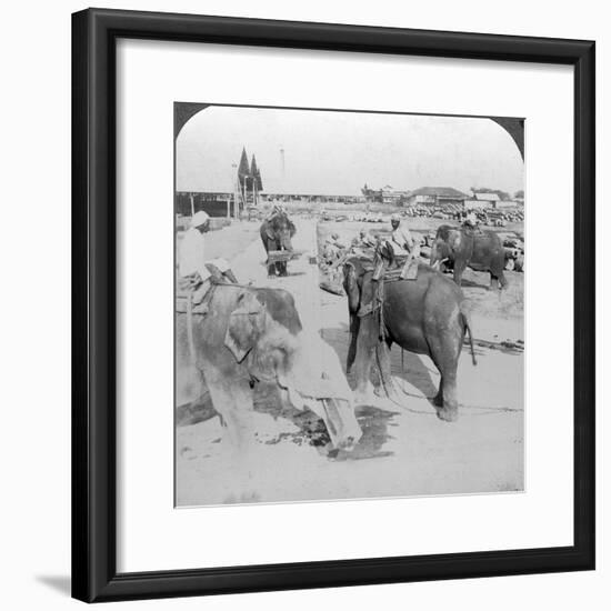 Elephants Working in a Timber Yard, India, C1900s-Underwood & Underwood-Framed Photographic Print