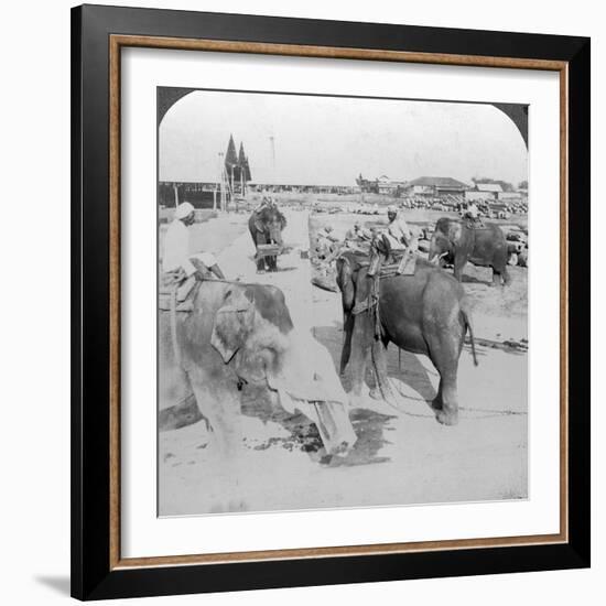 Elephants Working in a Timber Yard, India, C1900s-Underwood & Underwood-Framed Photographic Print